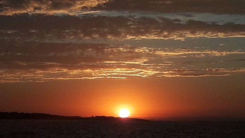 Wernisaż 17.11.2018 Wernisaż 17.11.2018